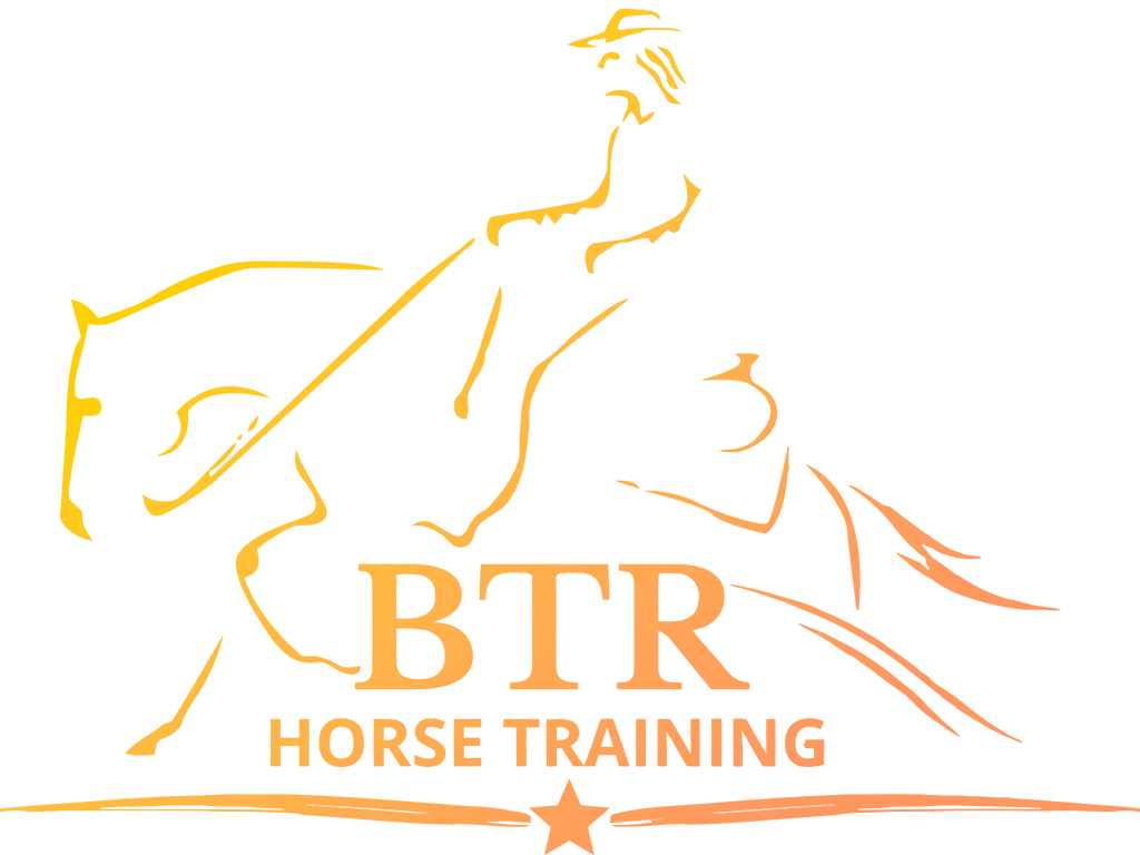 BTR Horse Training